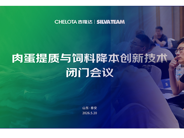 ������ | CHELOTAj9����&�����ʩ�����⵰���������Ͻ������¼������Ż�Բ������