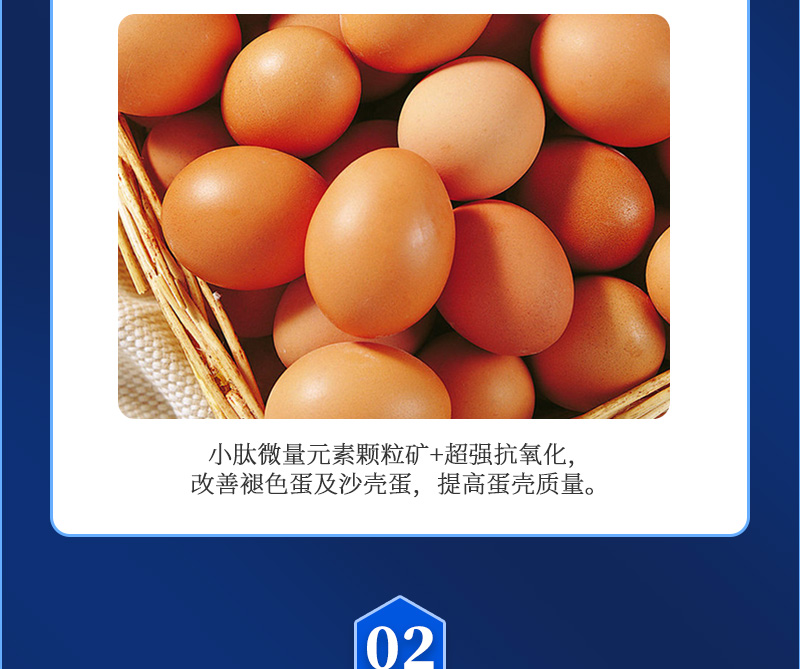 ������G1��������ҳ_03