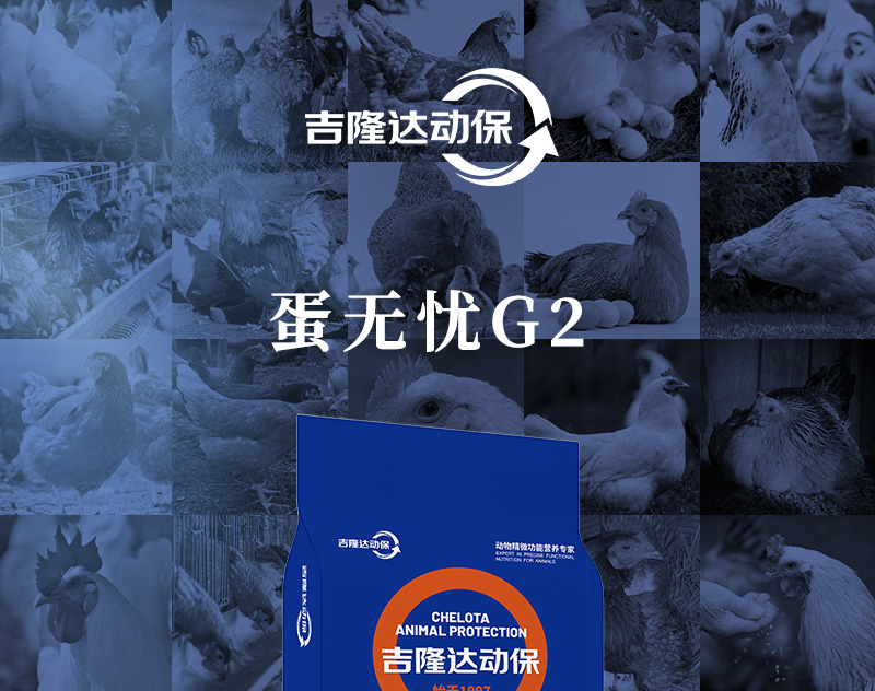 ������G2��������ҳ_01
