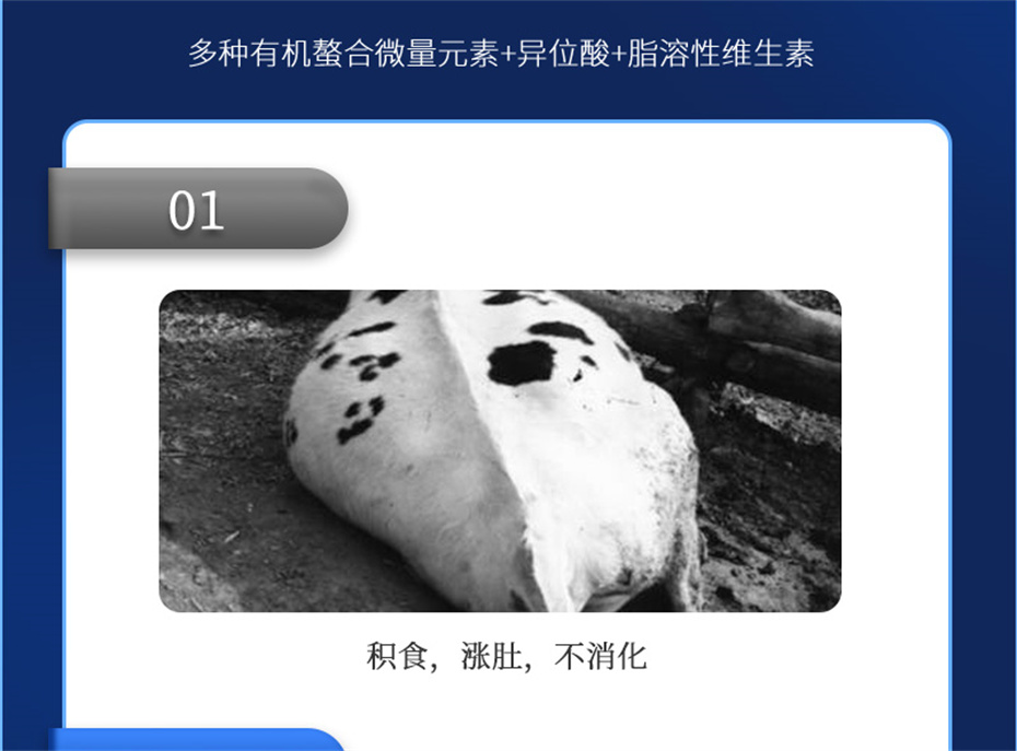 j9ţӼţ׳챦Ʒ