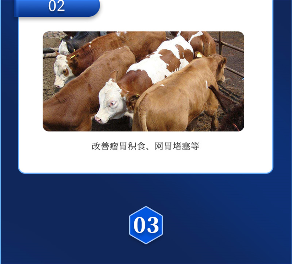 j9ţӼţ׳챦Ʒ