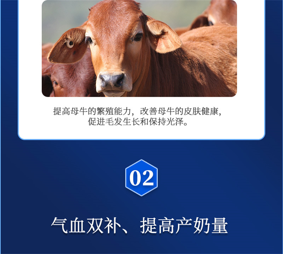 j9ţӼѪţƷ