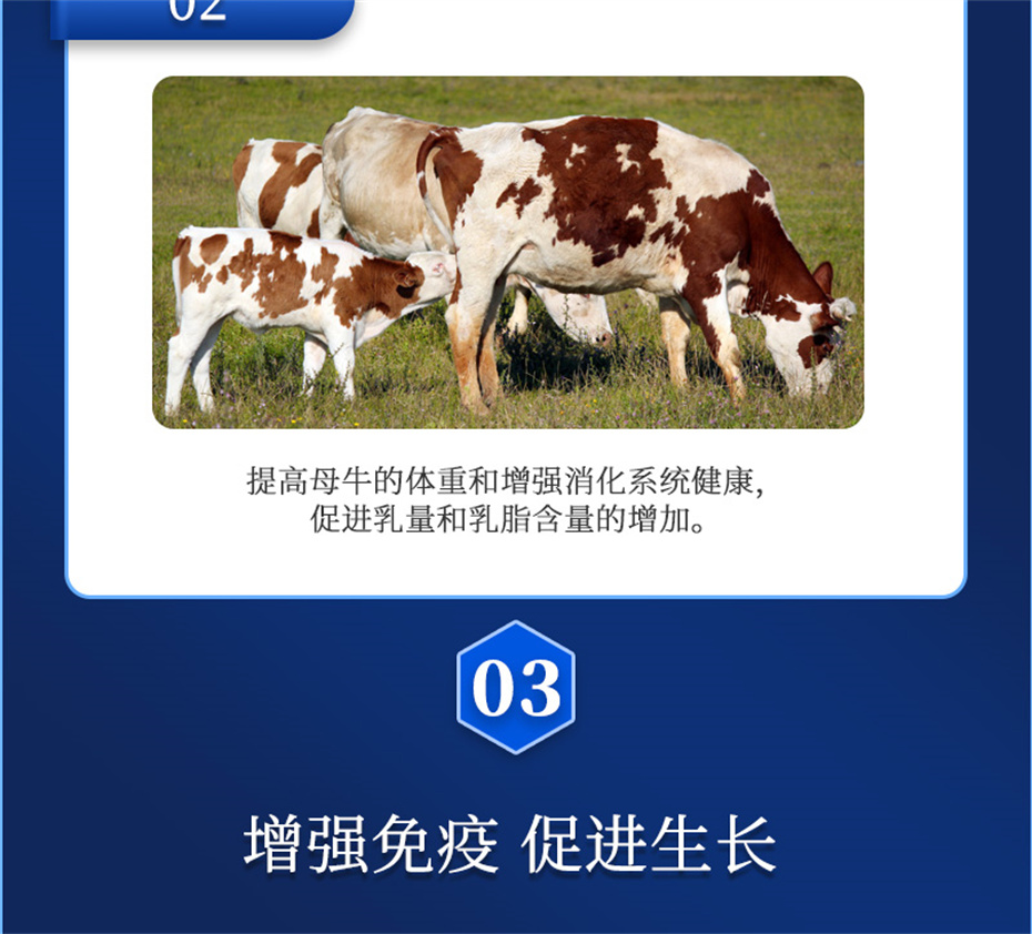 j9ţӼѪţƷ