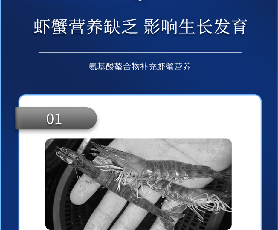j9ˮӼϺƷ