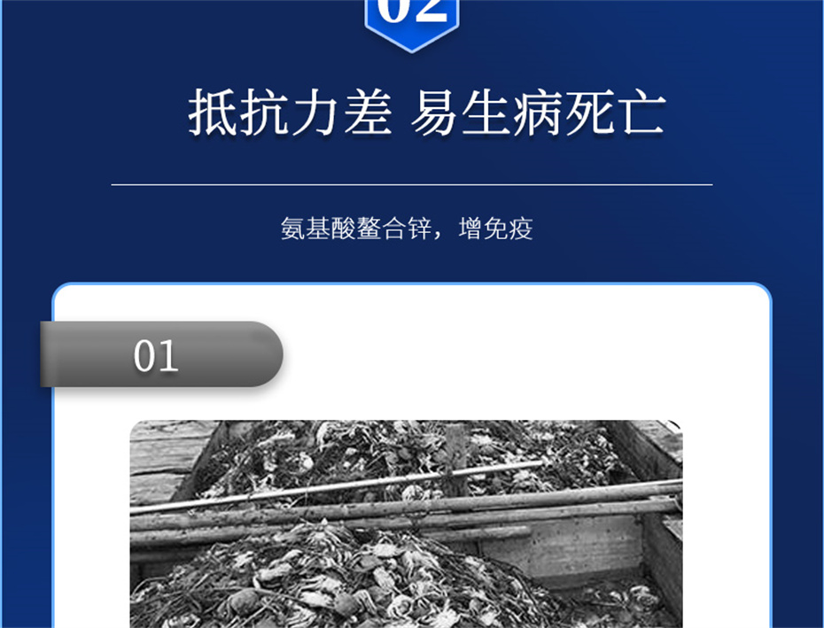 j9ˮӼϺƷ