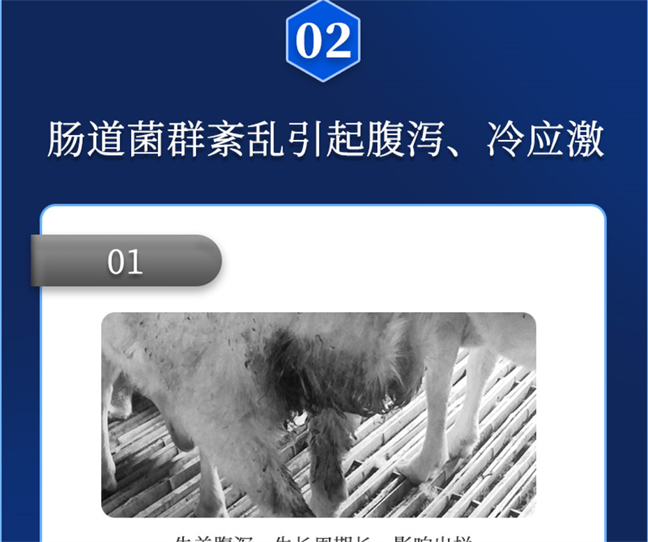 j9ţӼθƷ