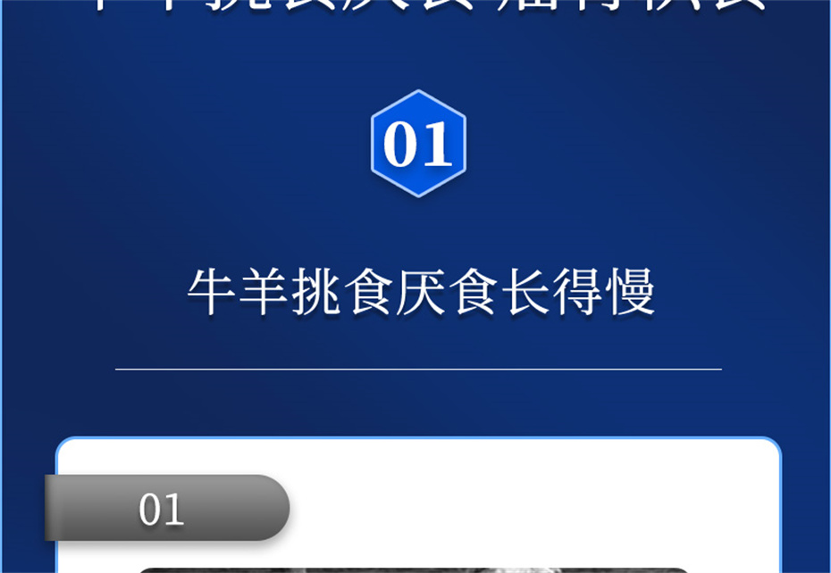 j9ţӼţ׳챦Ʒ