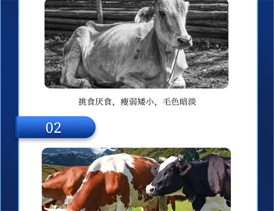 j9ţӼţ׳챦Ʒ