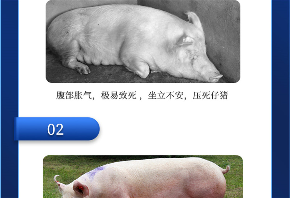 j9ӼĸͨƷ