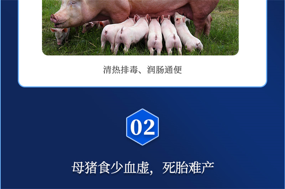 j9ӼĸͨƷ