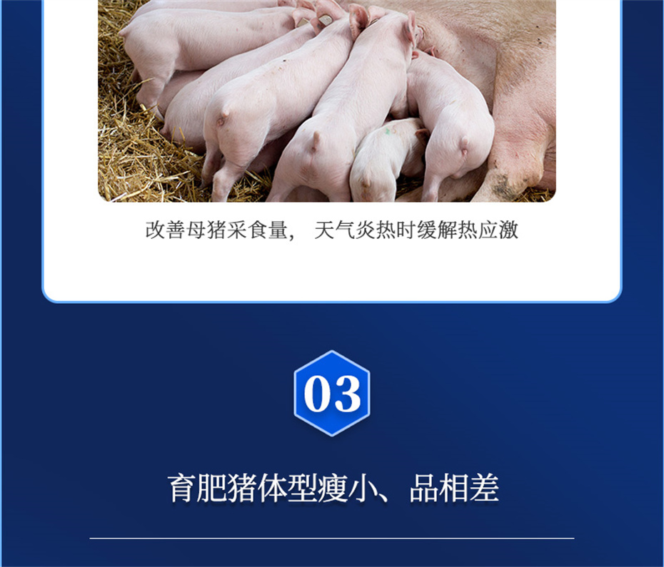 j9ӼĸͨƷ
