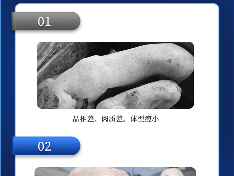 j9ӼĸͨƷ