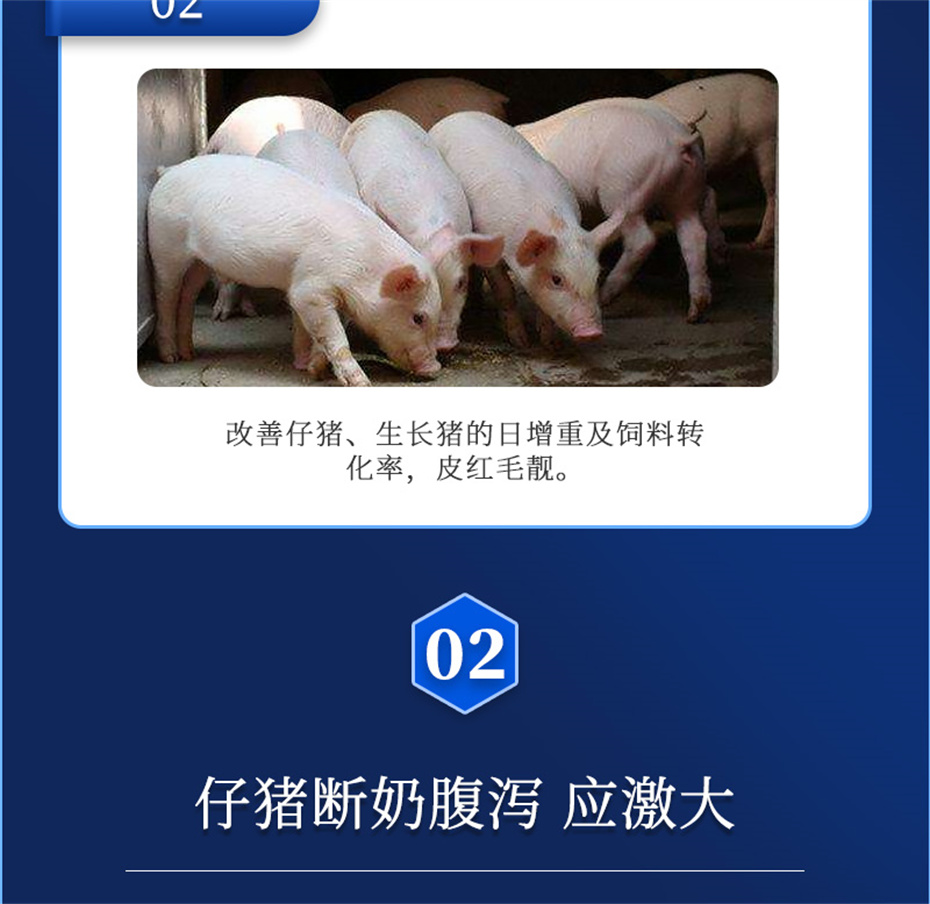 j9ӼƷ