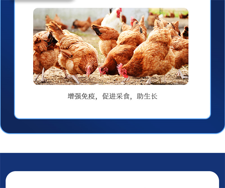 j9ӼѪݲƷ