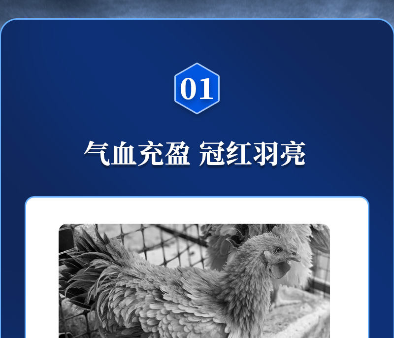 j9ӼɫƷ