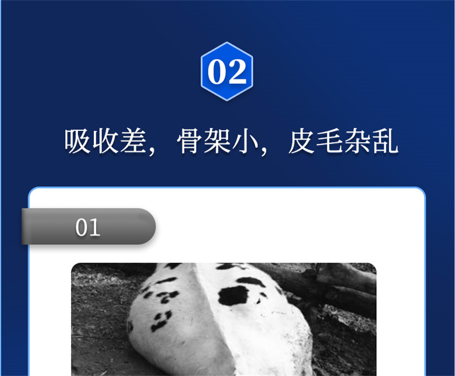 j9ţӼţԪ˧Ʒ