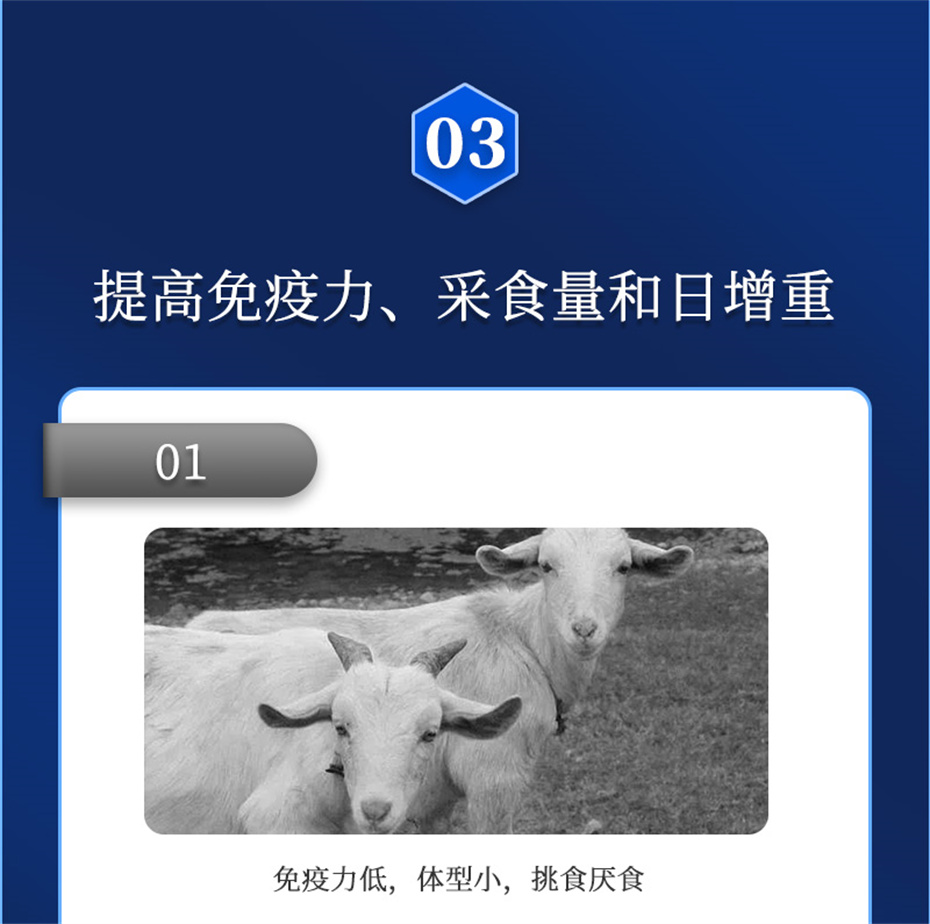 j9ţӼţԪ˧Ʒ