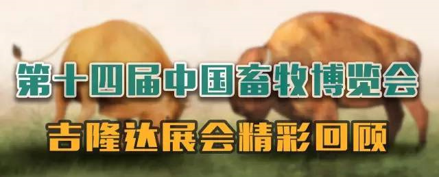 j9չй