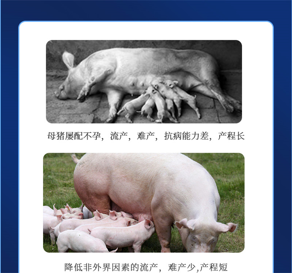 j9ӼѪƷ