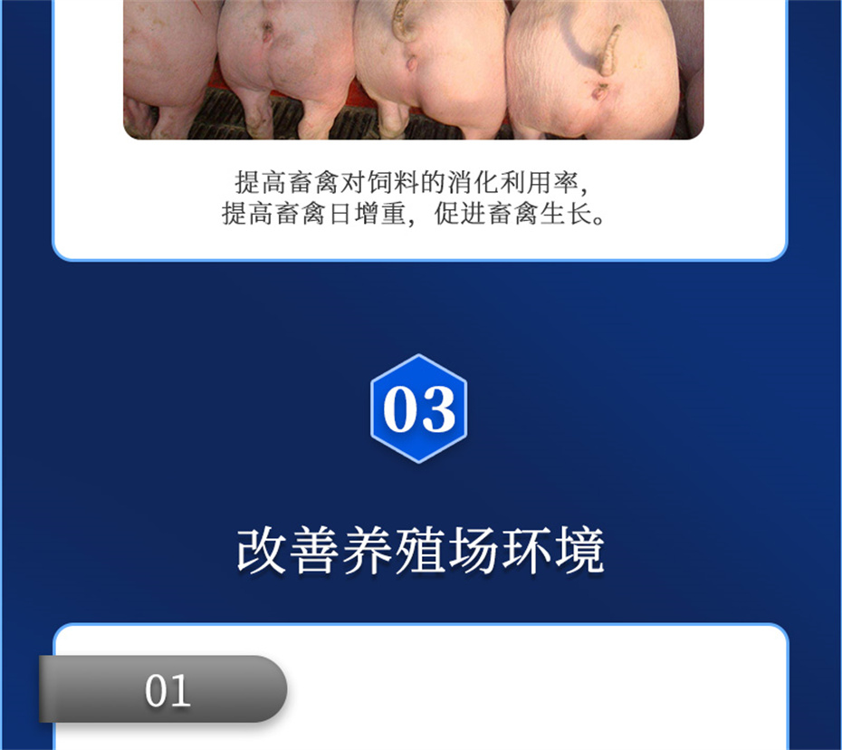 j9ӼԪƷ