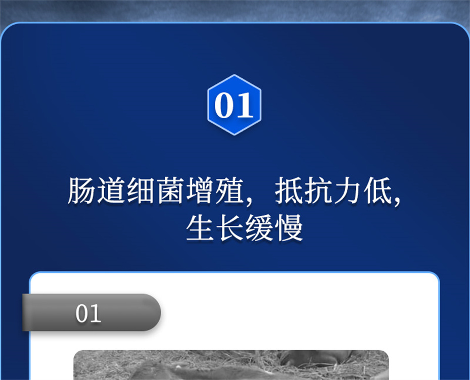 j9ӼŶĲƷ