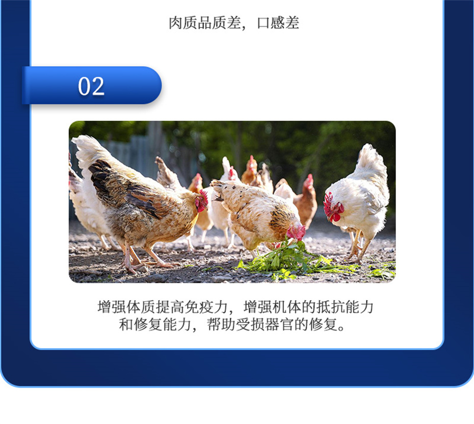 j9ӼŶĲƷ