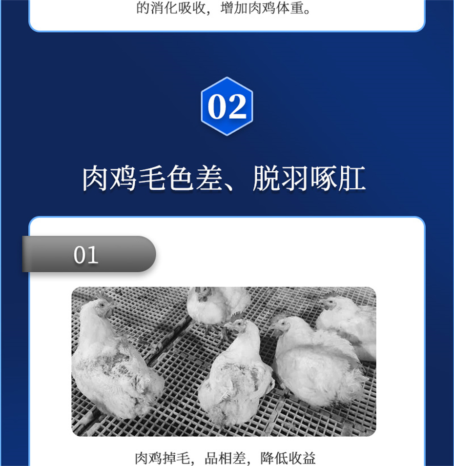 j9ӼزƷ