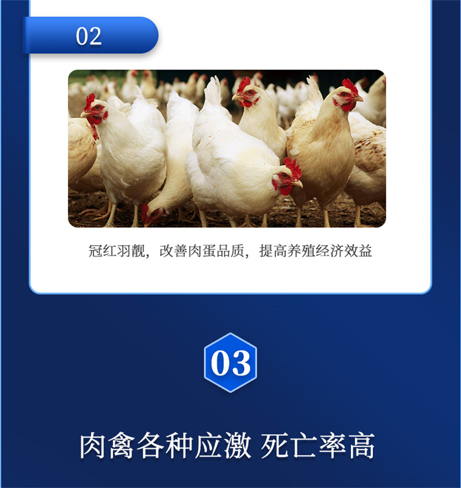 j9ӼزƷ